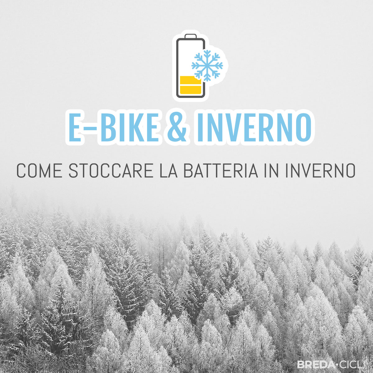 promo-natale-breda-cicli-olympia-bici-elettrica